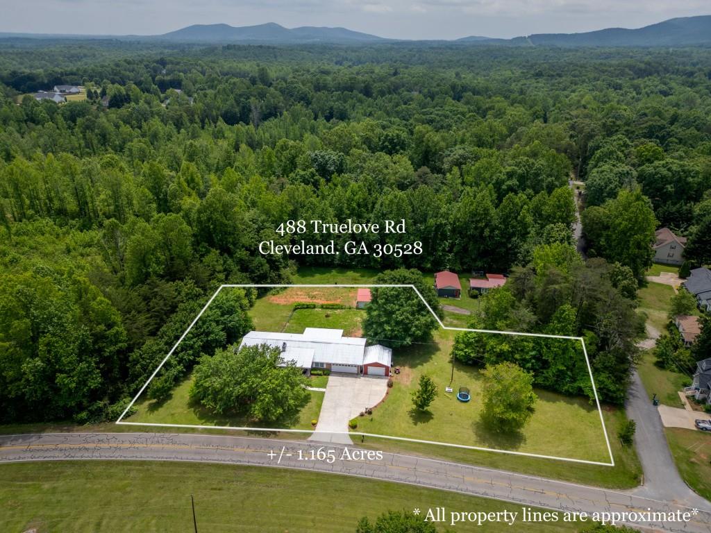 488 Truelove Road, Cleveland, Georgia image 2