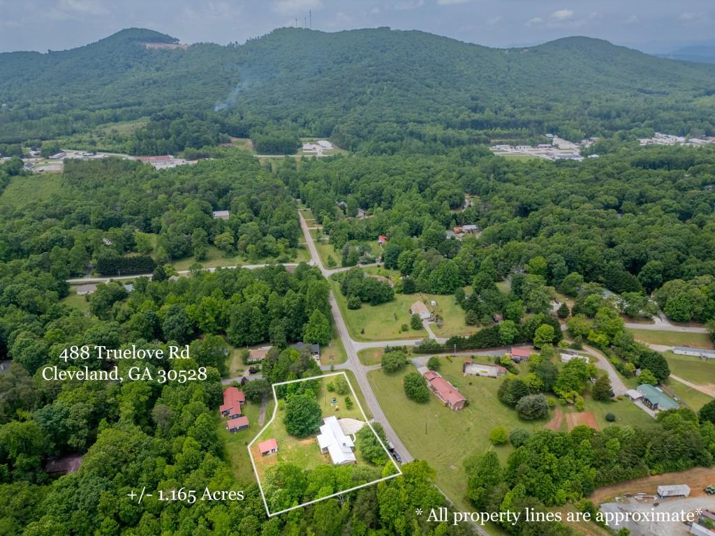 488 Truelove Road, Cleveland, Georgia image 5