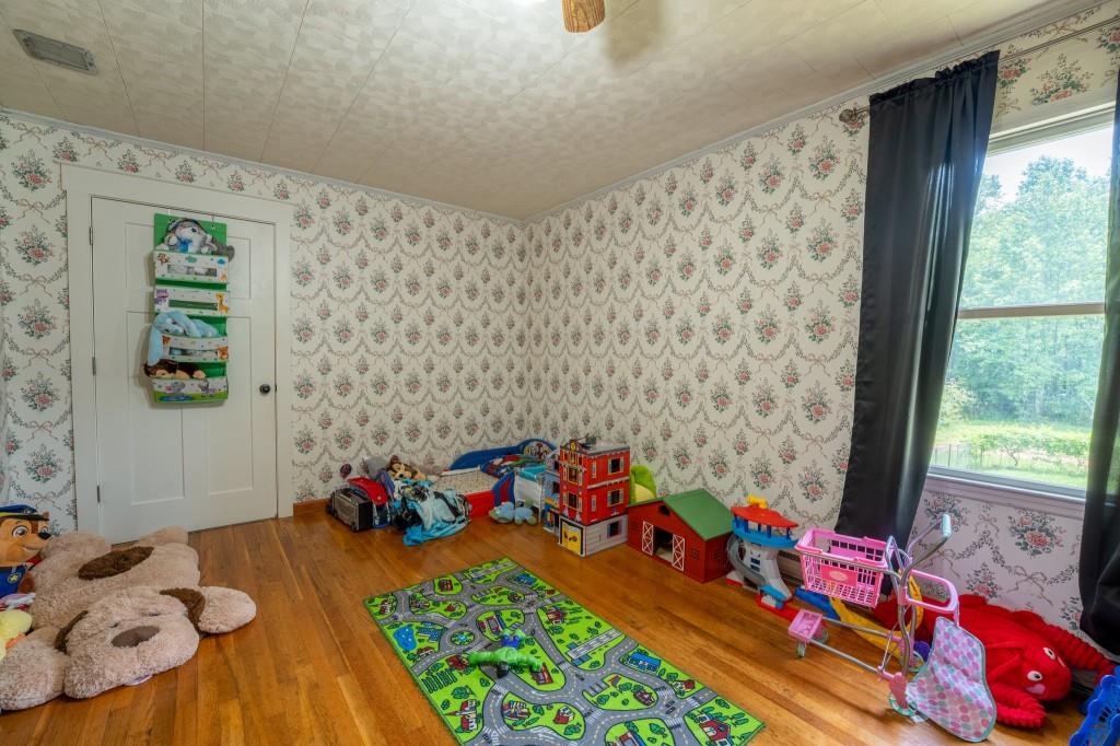 488 Truelove Road, Cleveland, Georgia image 20
