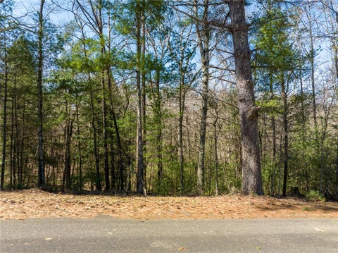 Vacant Land For Sale - Shenendoa Drive<br/> Ellijay, GA 30540