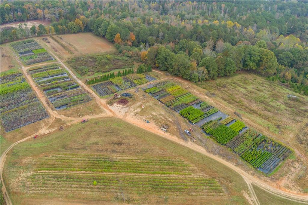 6039 Walker Bennett Road, Loganville, Georgia image 7