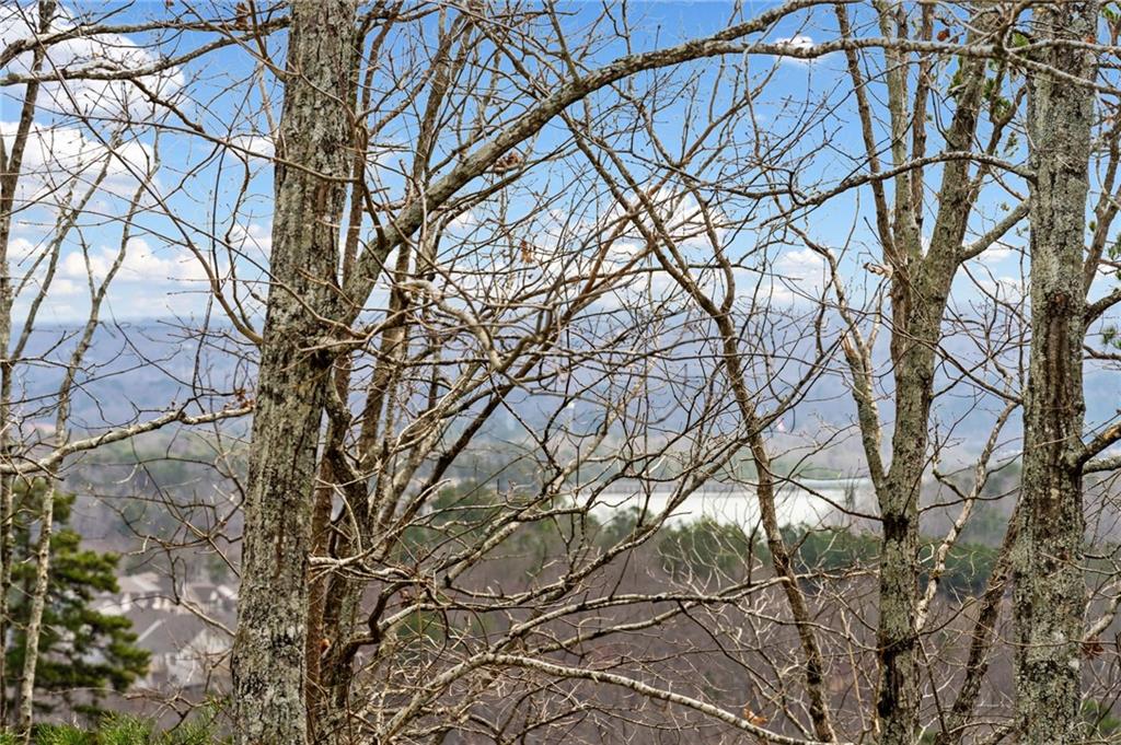 330 Tupelo Trail, Canton, Georgia image 14