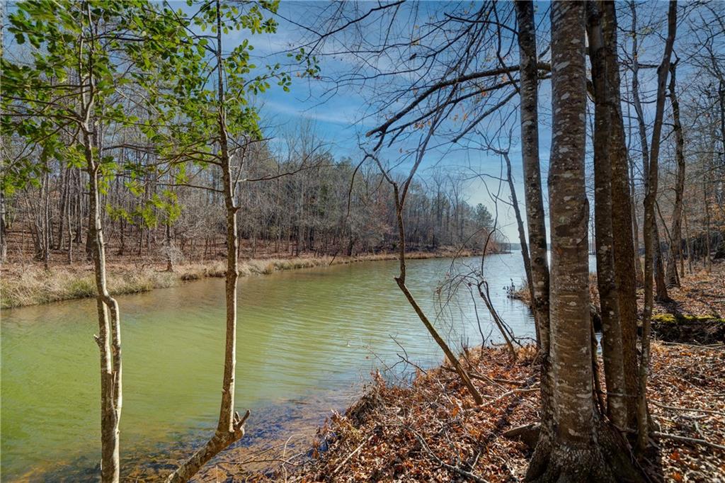 Moccasin Gap Road, Jackson, Georgia image 2