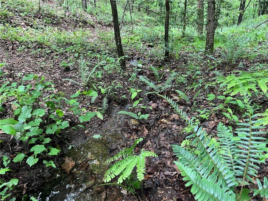 1720 Rebekah Ridge Road