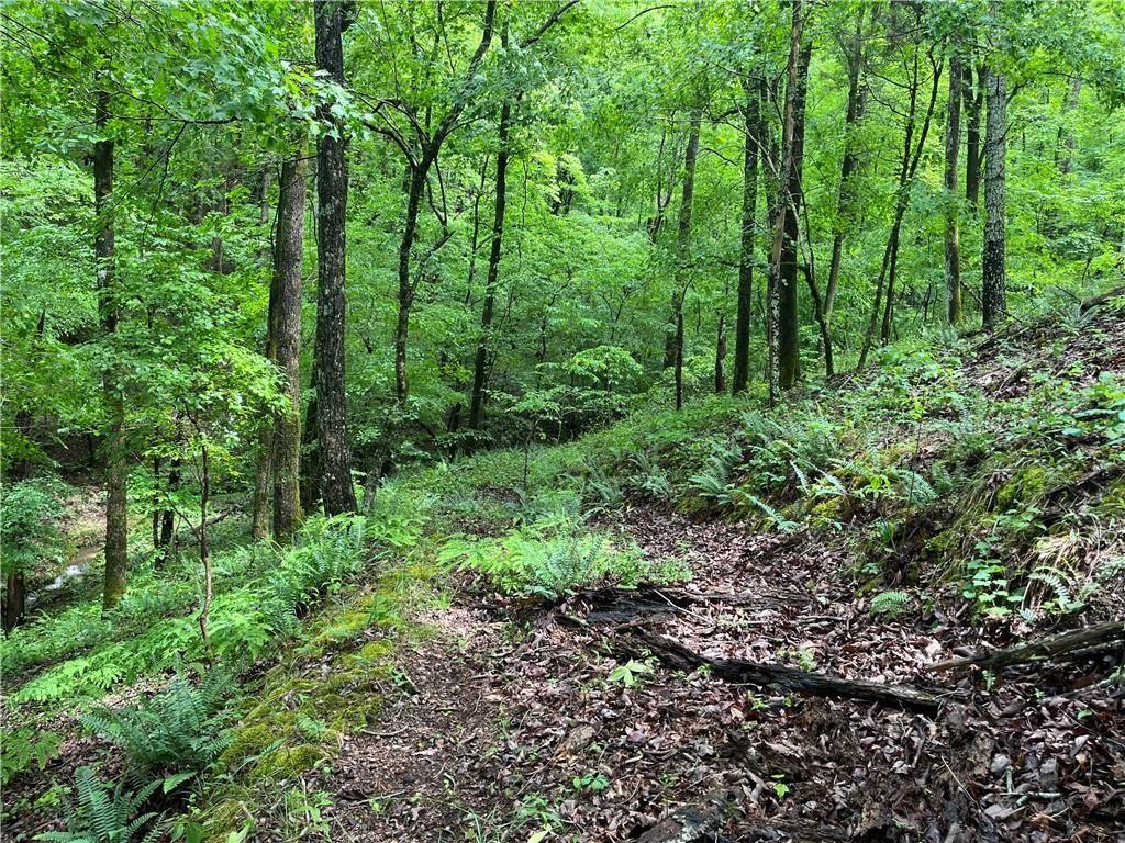 1720 Rebekah Ridge Road