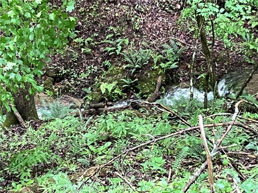 1720 Rebekah Ridge Road