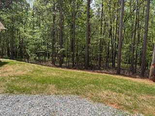 1285 Little Mountain Rd, Dawsonville, Georgia image 4