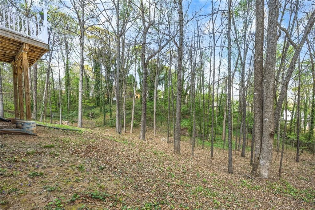 1007 Springharbor Walk, Woodstock, Georgia image 48
