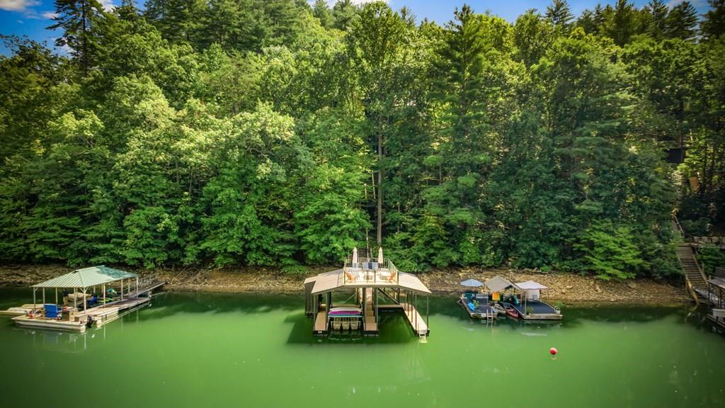 571 Misty Mountain Trail