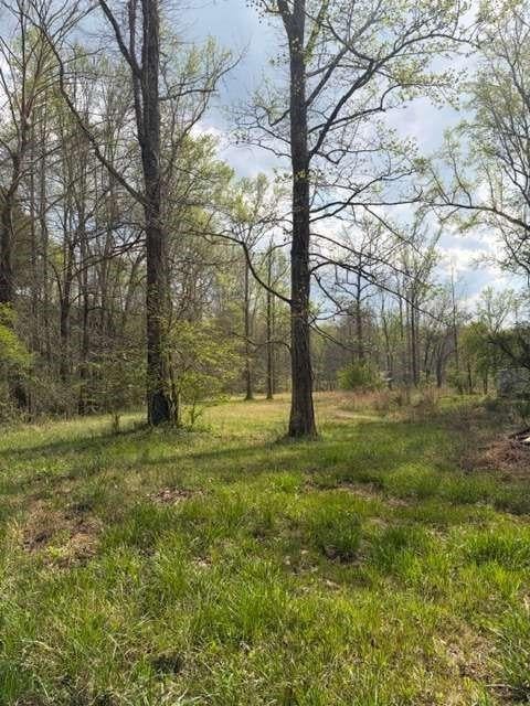 Vacant Land For Sale - 54 Coppermine Road<br/> Buchanan, GA 30113