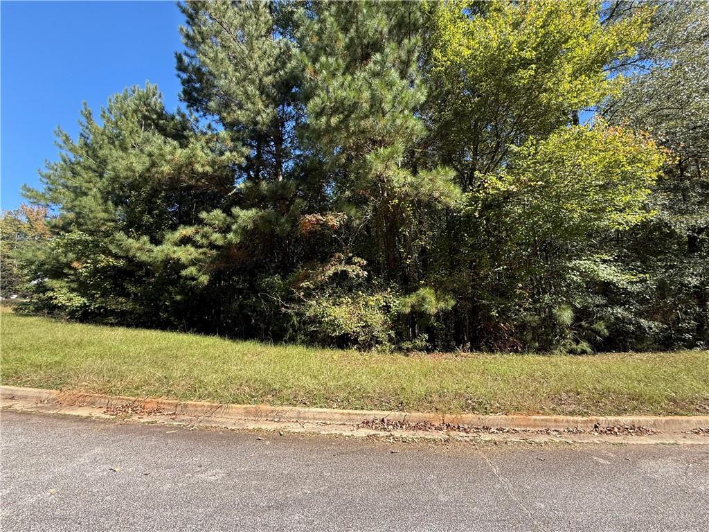 1333 Nickel Oak Bend