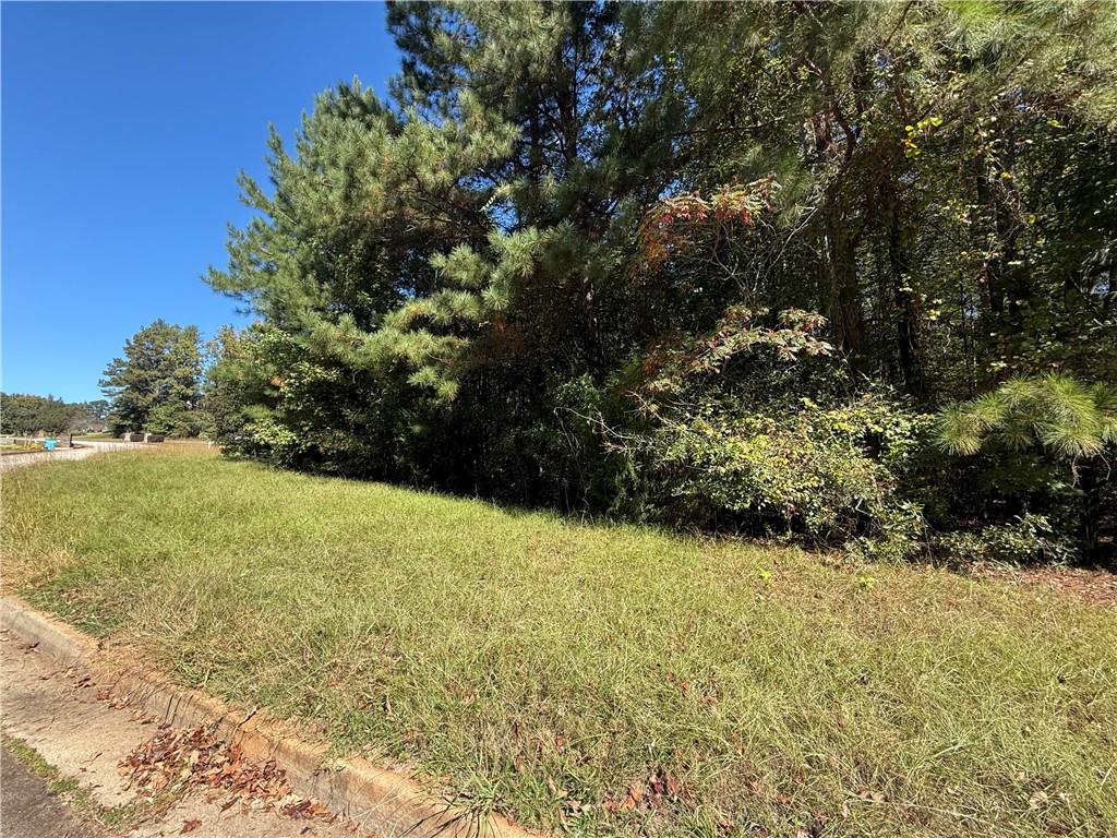 1333 Nickel Oak Bend