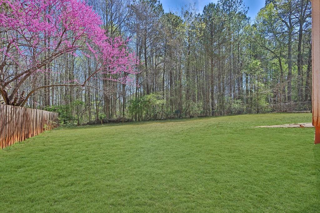1045 Forest Path, Stone Mountain, Georgia image 26