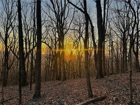 Vacant Land For Sale - LOT 1 Mount Mincie Road<br/> Murrayville, GA 30564