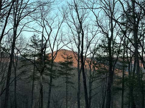 Vacant Land For Sale - Camp Wahsega Road<br/> Dahlonega, GA 30533