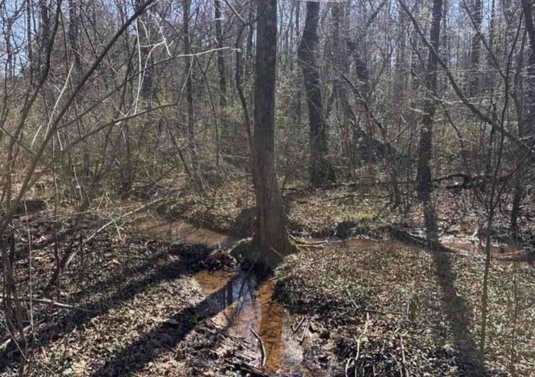398 Mud Creek Road