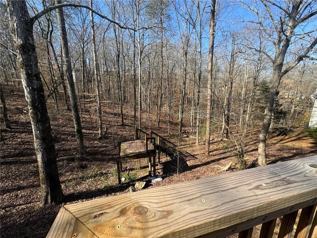 71 Toto Creek Drive, Dawsonville, Georgia image 35
