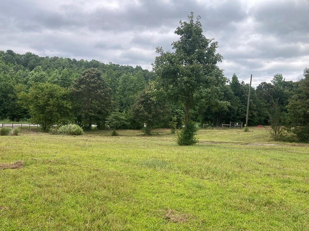 None - 3.09 Acres - Residential