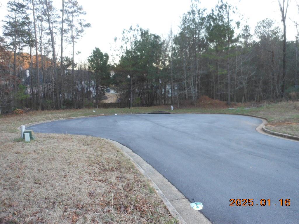 2819 Carson Garret Court, Buford, Georgia image 8