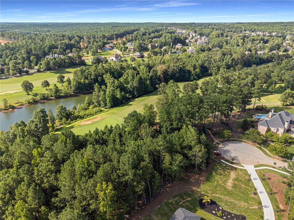 1704 Panorama Drive, Locust Grove, Georgia image 7