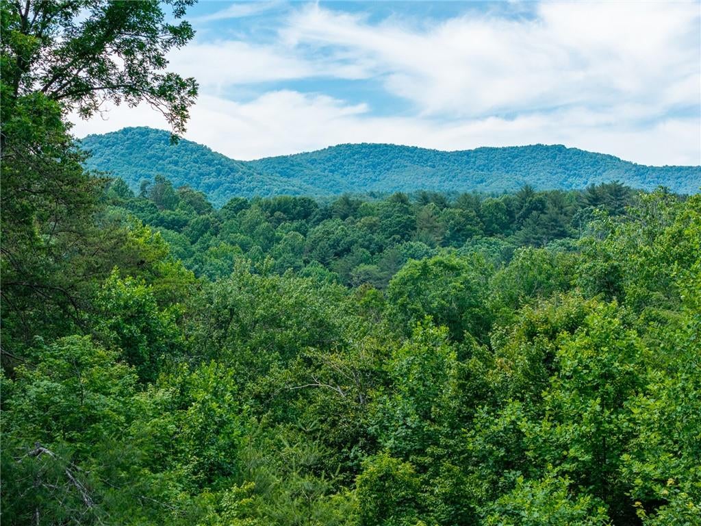 1172 Settlers Ridge Road