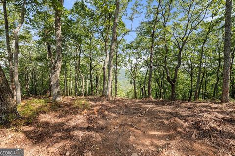 347 Highlands Drive Clarkesville GA 30523