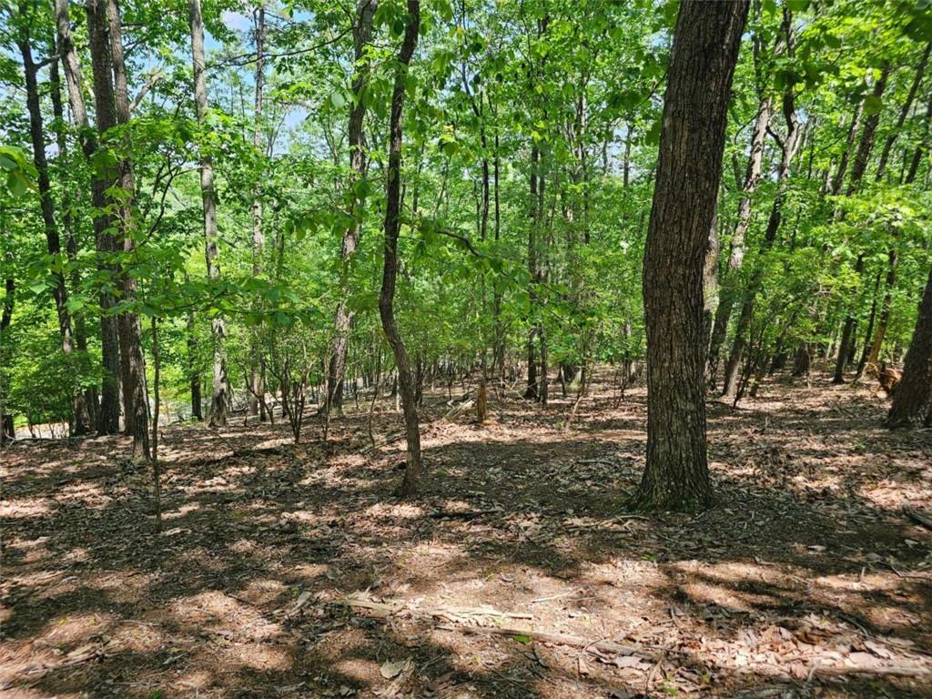 Turnbury Lane, Jasper, Georgia image 11