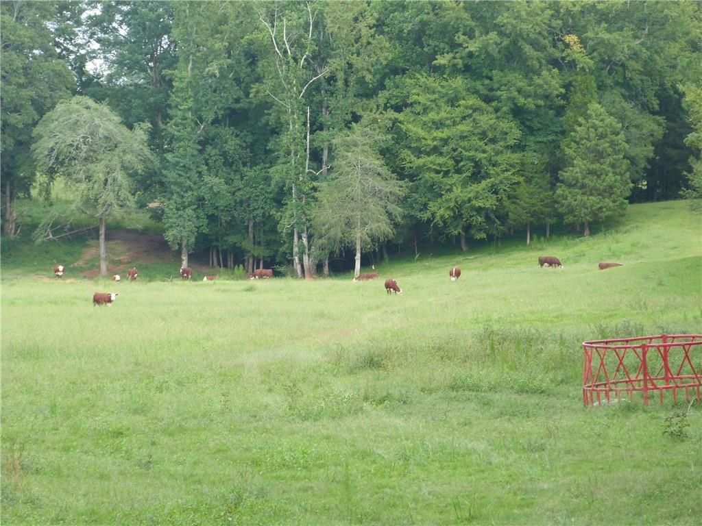 1650 Locklin Cemetery Road, Monroe, Georgia image 24