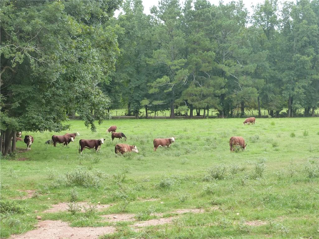 1650 Locklin Cemetery Road, Monroe, Georgia image 15