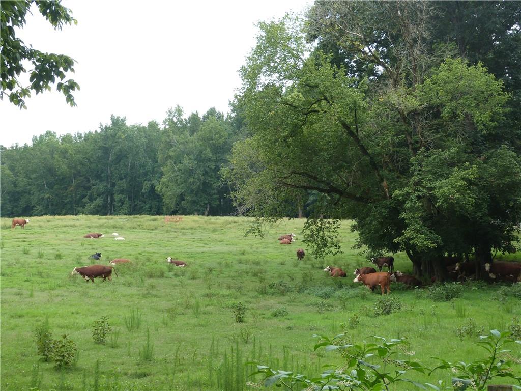 1650 Locklin Cemetery Road, Monroe, Georgia image 25