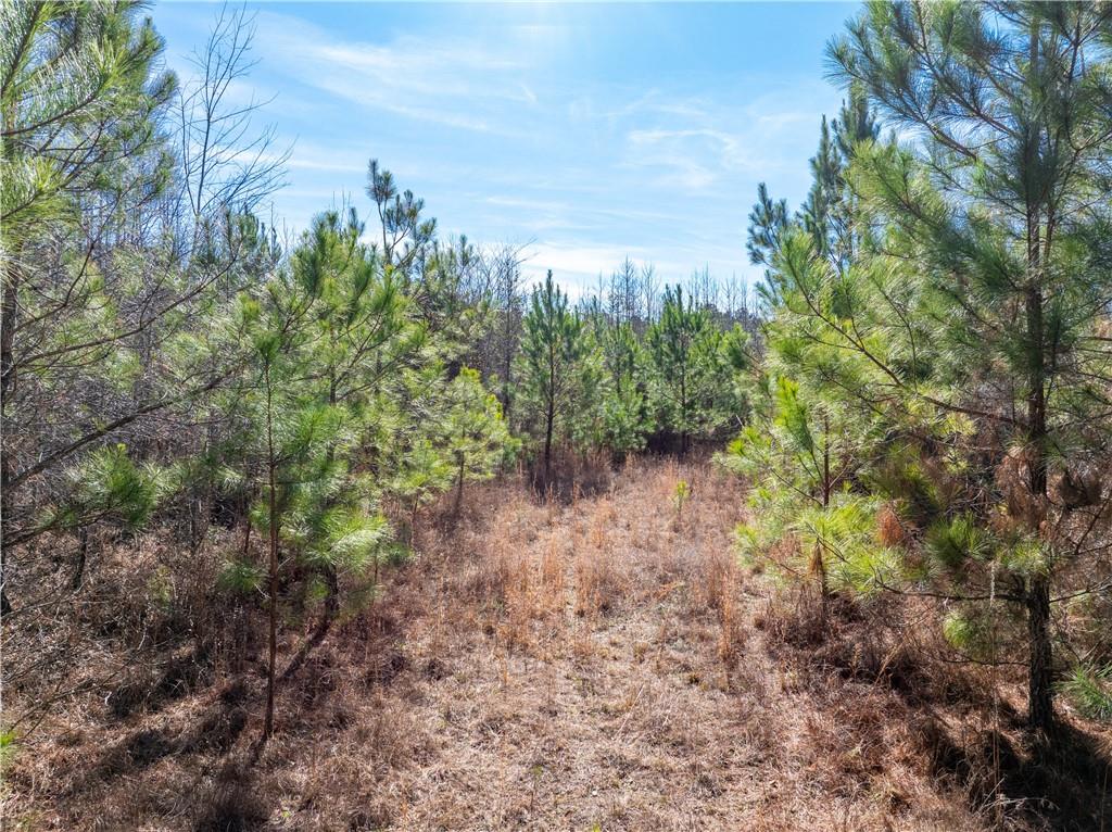 2071 Leslie Mill Road