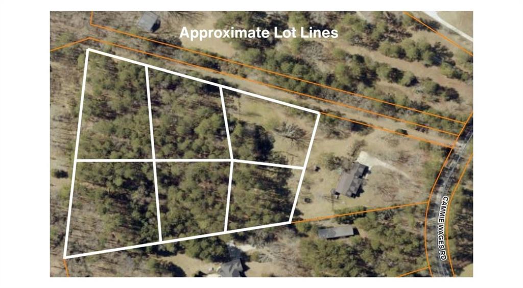 2903 Cammie Wages Road