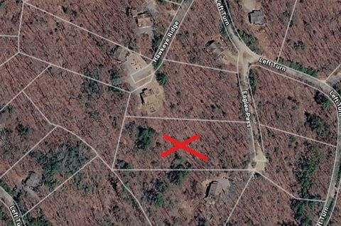 Vacant Land For Sale - Eagle Pass<br/> Blue Ridge, GA 30513