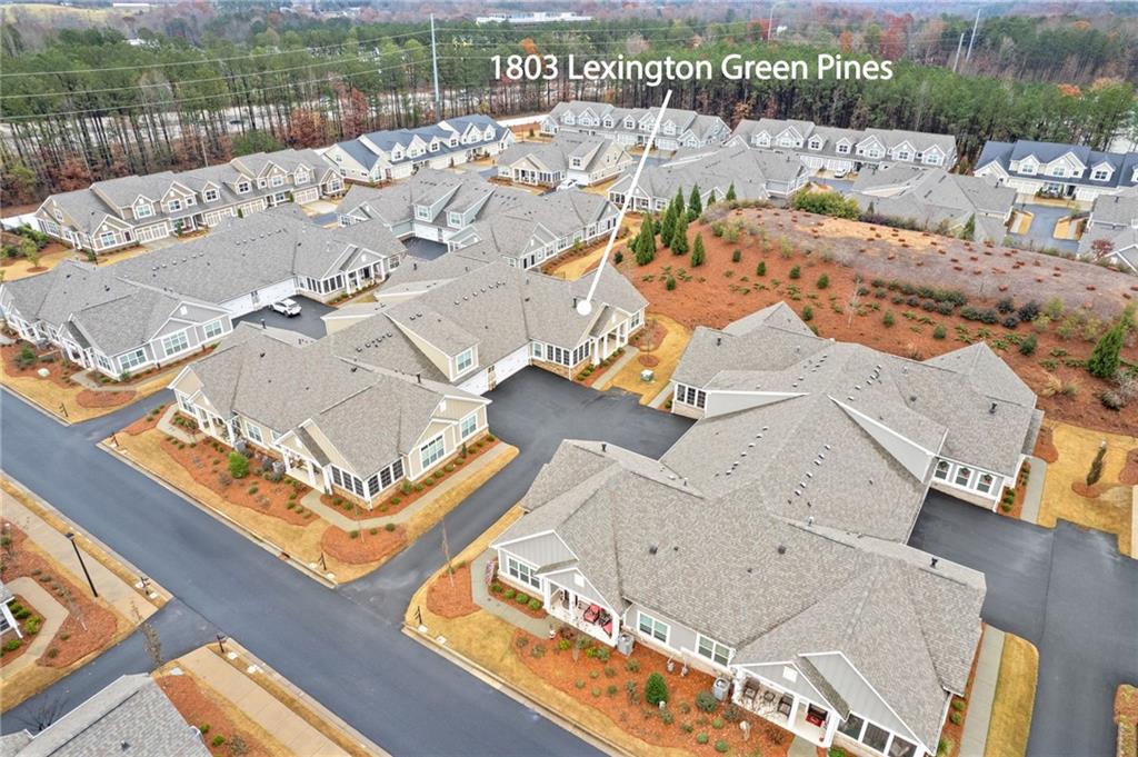 1803 Lexington Green Pines, Cumming, Georgia image 35