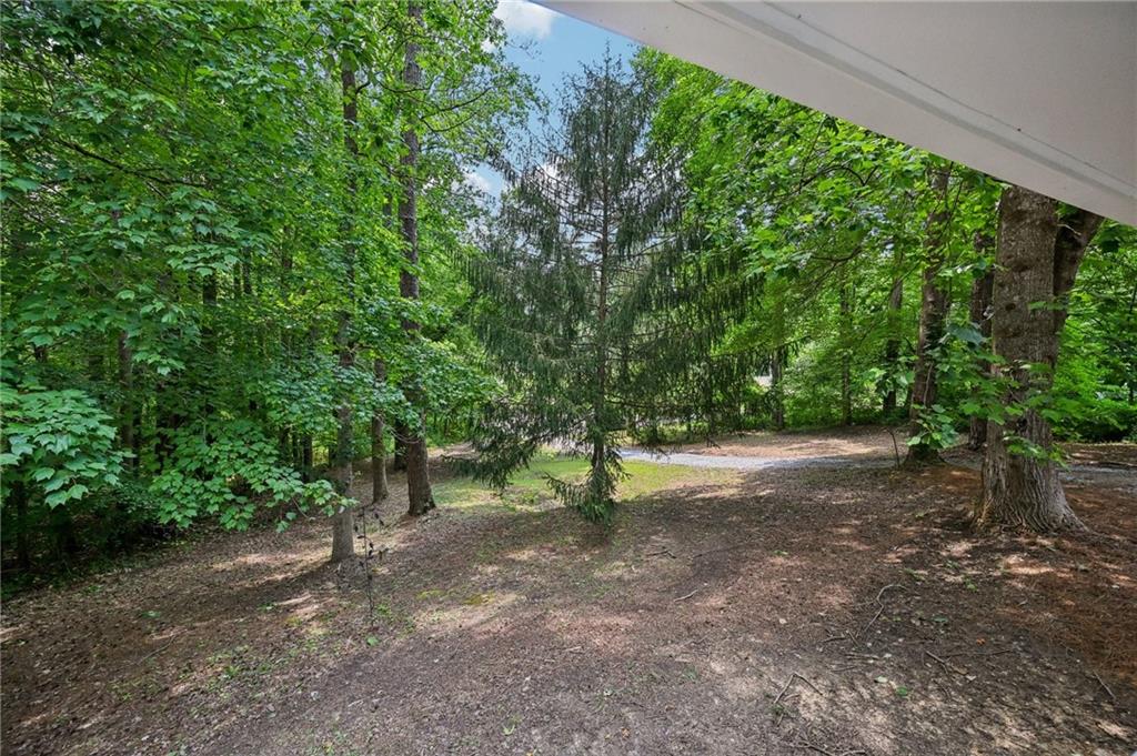 6201 Davids Way, Acworth, Georgia image 6