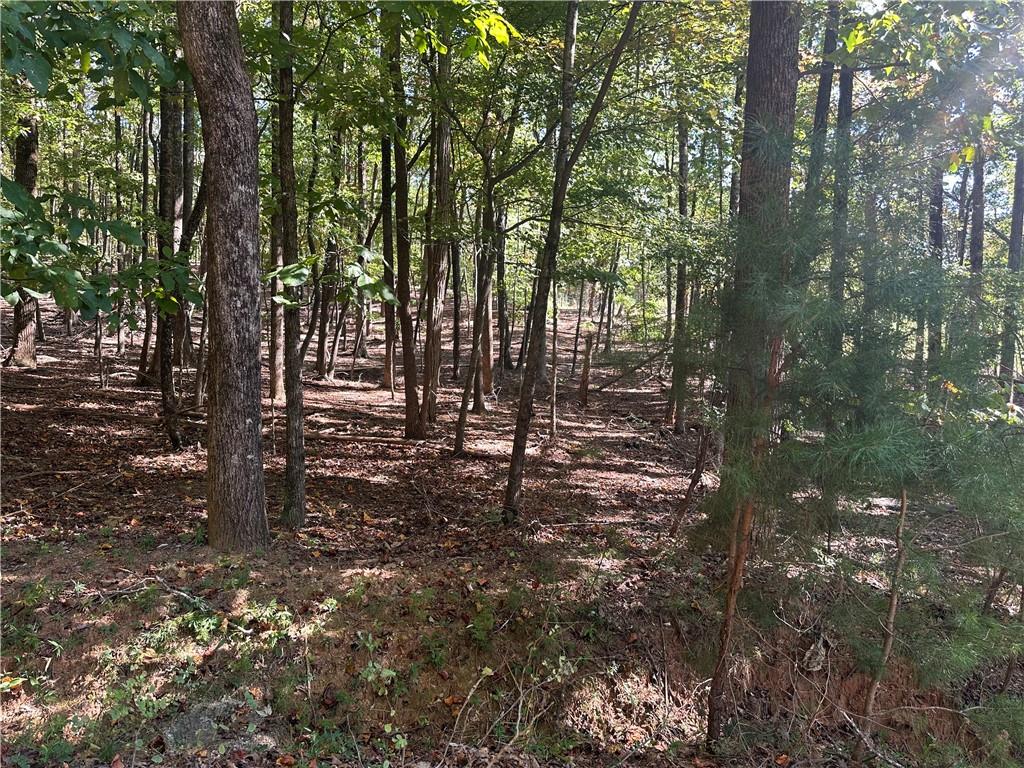 Lt1351 Willow Terrace