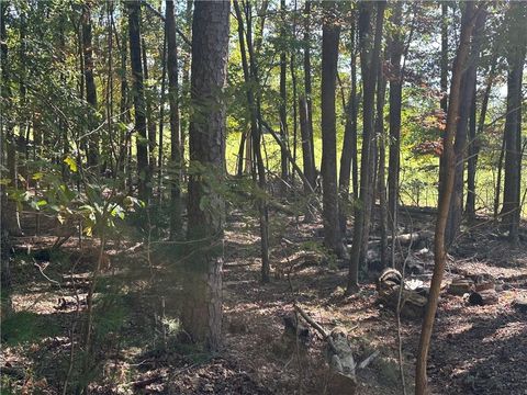 Vacant Land For Sale - LT1351 Willow Terrace<br/> Jasper, GA 30143
