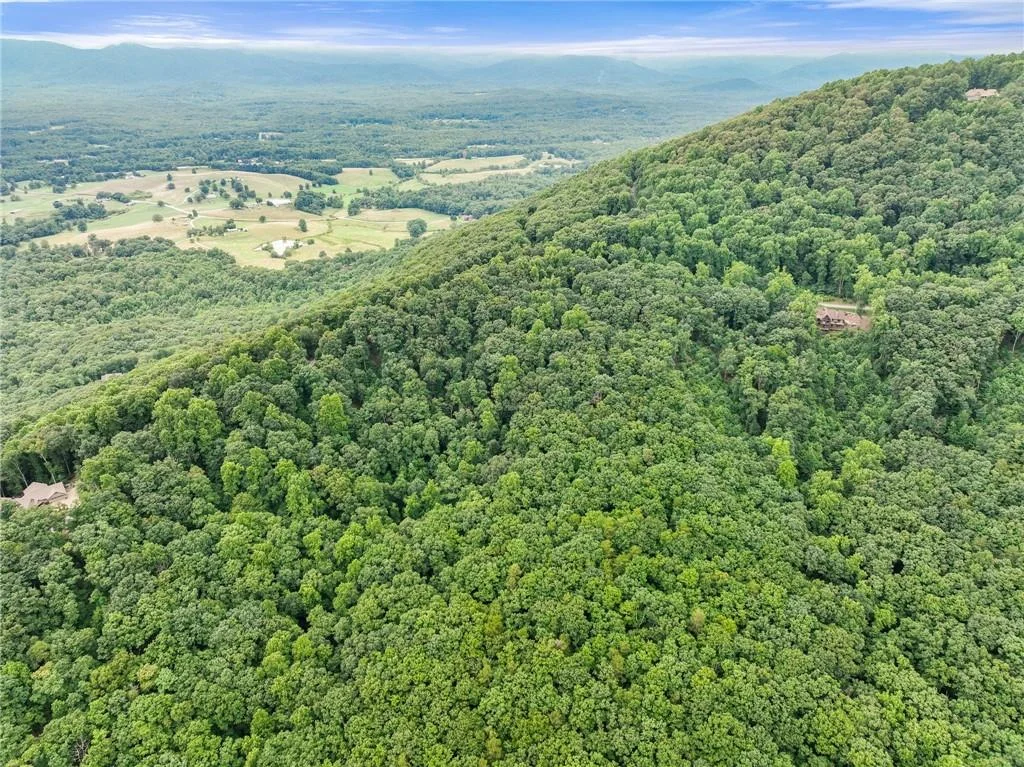 61 Mountainside Drive