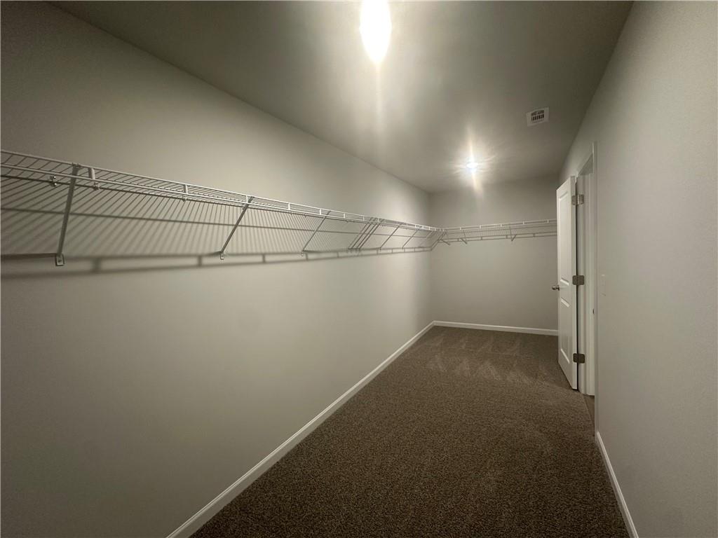 133 Observation Way, Dallas, Georgia image 20