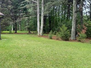 300 Gaelic Way, Tyrone, Georgia image 8