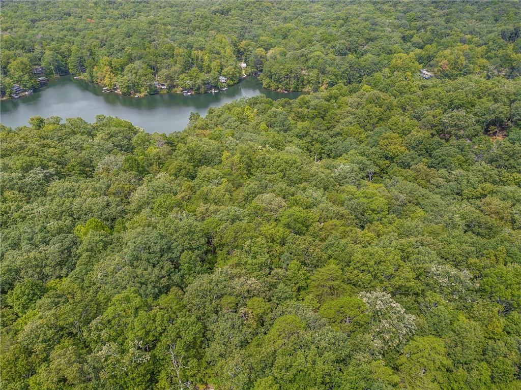 Discover the perfect place to build your dream home or weekend retreat on this 1.54-acre wooded lot overlooking Grandview Lake. Nestled in the scenic North Georgia Mountains, this property offers a peaceful natural setting with stunning views and plenty of privacy. Just a short drive from the charming town of Jasper, you’ll enjoy convenient access to shopping, dining, and local attractions. Outdoor enthusiasts will love the close proximity to hiking trails, while wine lovers can explore the nearby wineries. This hard-to-find lot combines tranquility with convenience, making it an ideal location for your building your dream home or mountain get-away.