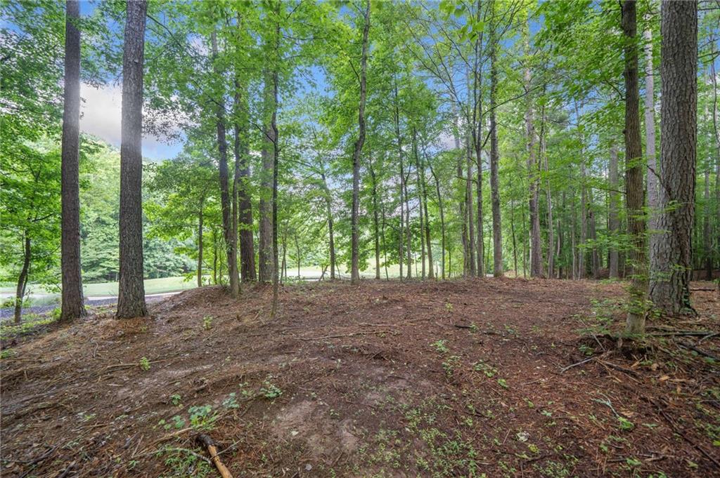 225 Brock Trail