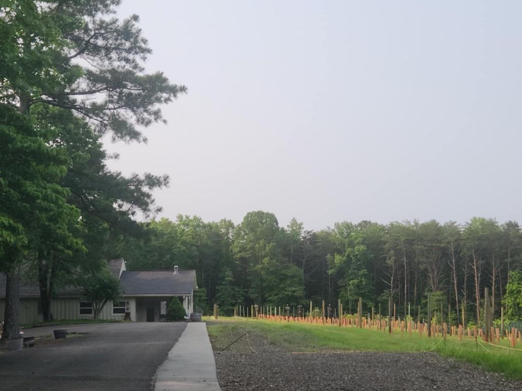 161 Sharp Mountain Parkway, Jasper, Georgia image 14