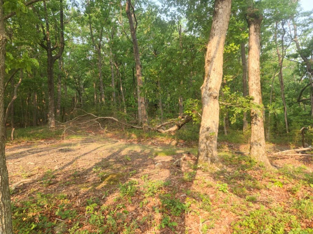 161 Sharp Mountain Parkway, Jasper, Georgia image 5