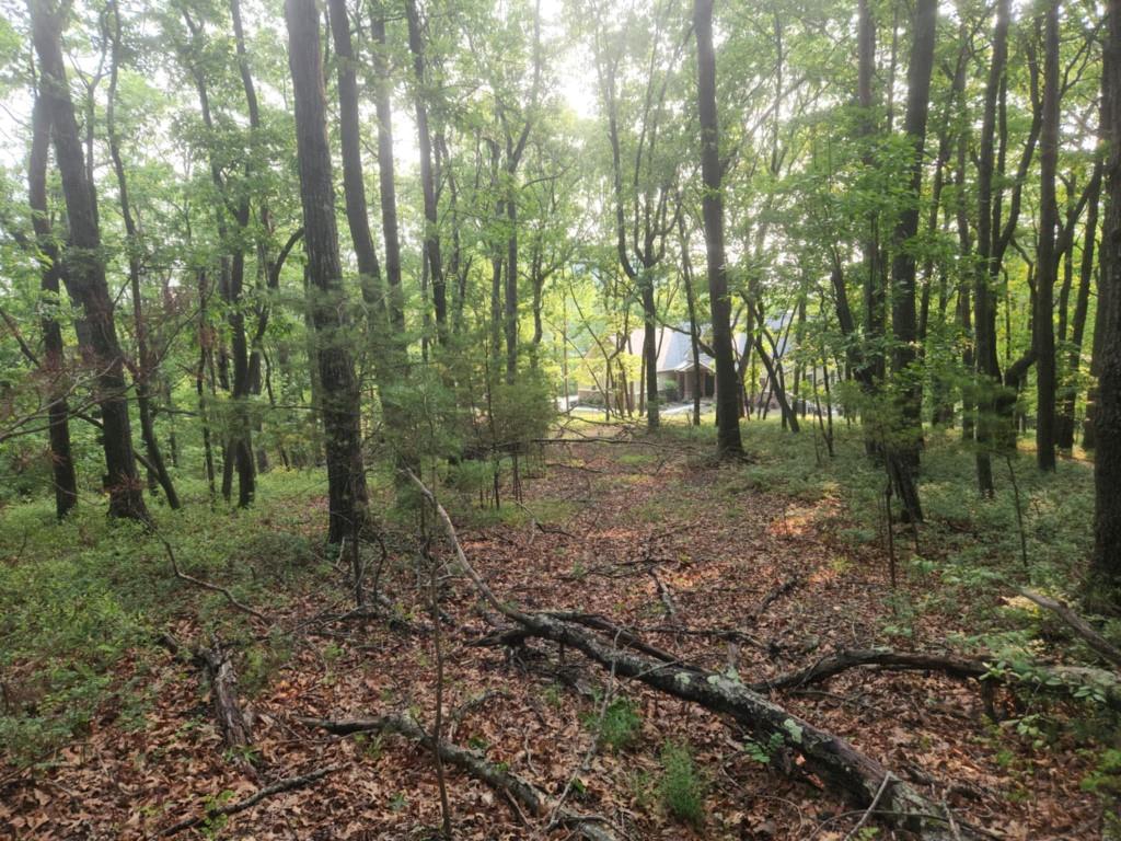 161 Sharp Mountain Parkway, Jasper, Georgia image 9
