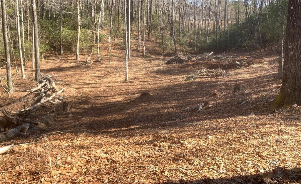 4 Silverado Lane, Clayton, Georgia image 3
