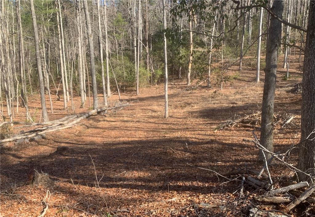 4 Silverado Lane, Clayton, Georgia image 2