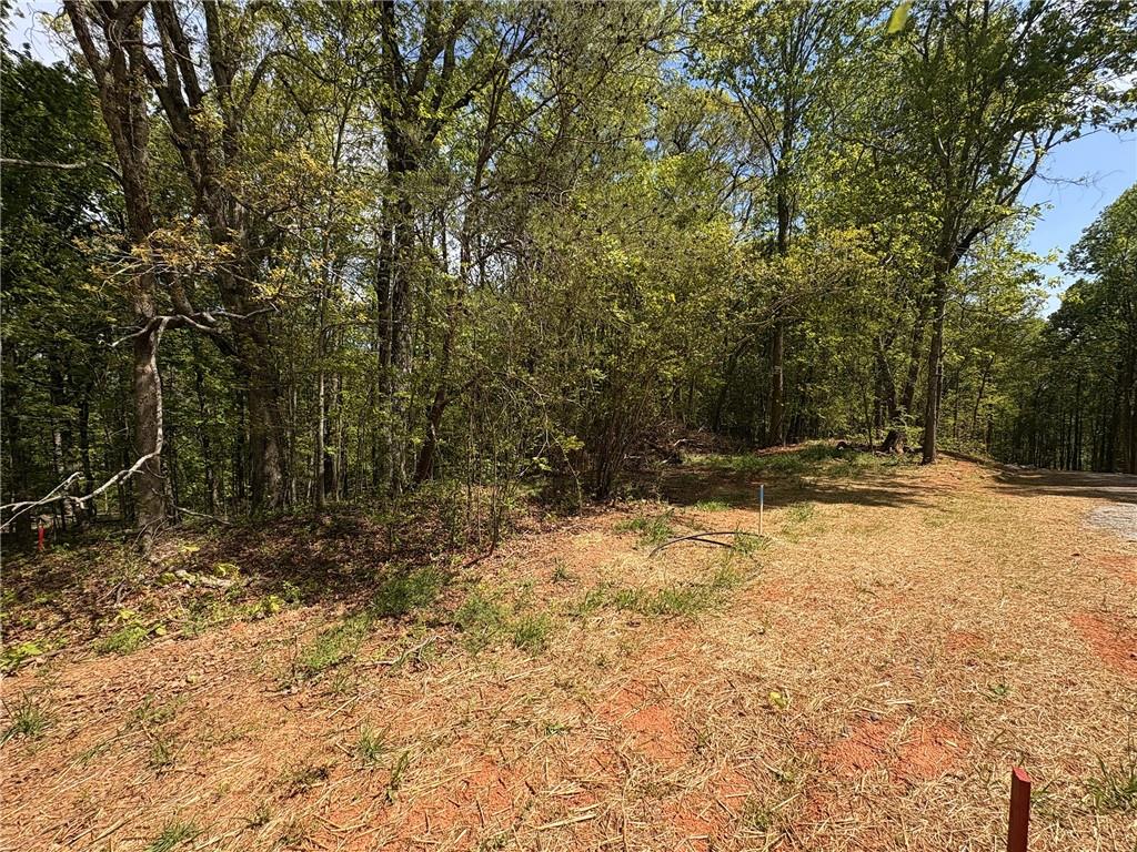 Little Mill Road, Cumming, Georgia image 3