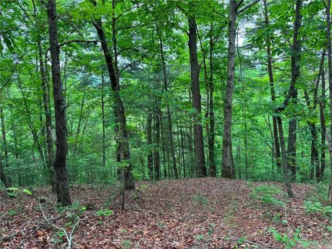 Vacant Land For Sale - 1674A Hunter Drive<br/> Ranger, GA 30734