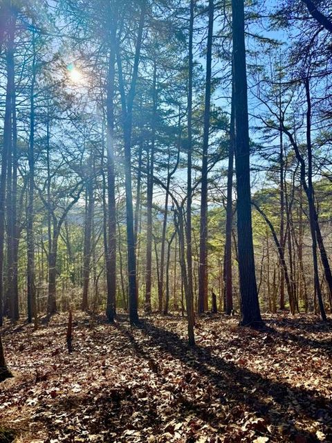 Vacant Land For Sale - 334 Packet Court<br/> Ranger, GA 30734